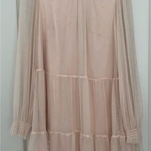 H&M Sheer Pink Long Sleeve Dress